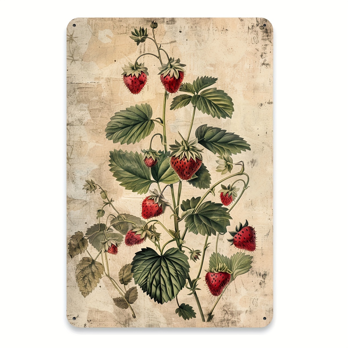 1pc, Vintage Fruit Collection  - Vintage Collectible Tins 评论和价格