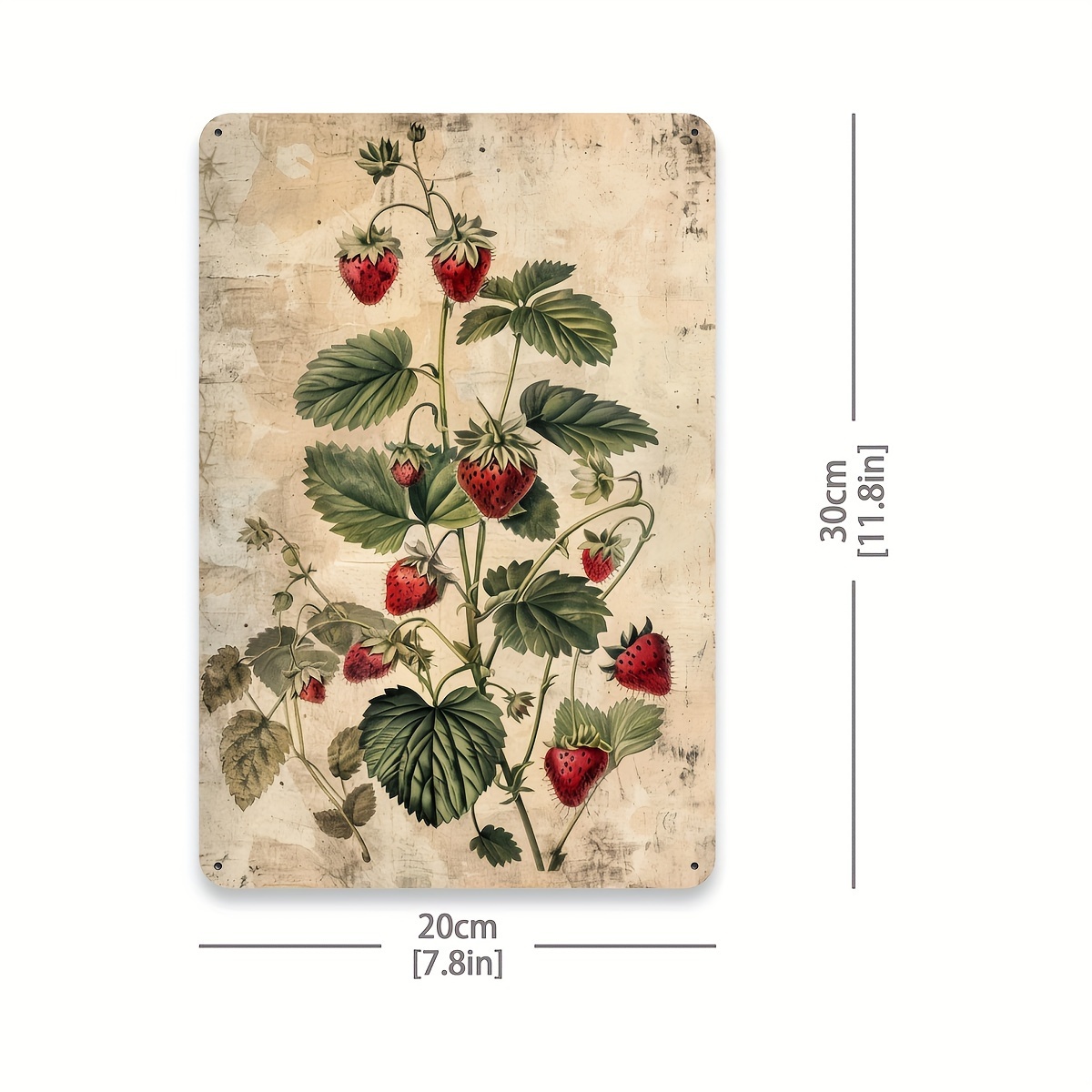 1pc, Vintage Fruit Collection  - Vintage Collectible Tins 评论和价格